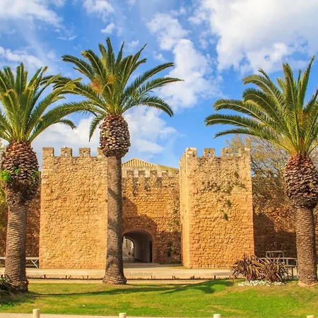 Charming Penthouse With Sea View In #1931